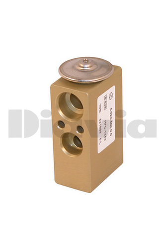 VALV. EXP. FIAT PUNTO II (99) SISTEMA MARELLI
