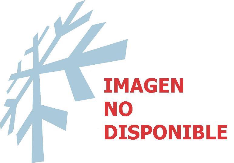 COJINETE / RODAMIENTO SANDEN 505/709/DKS