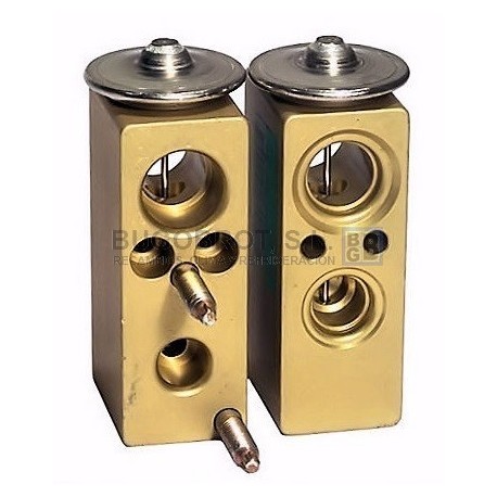 VALV. EXP. PSA/FORD (03) C2/C3/407/508/MONDEO