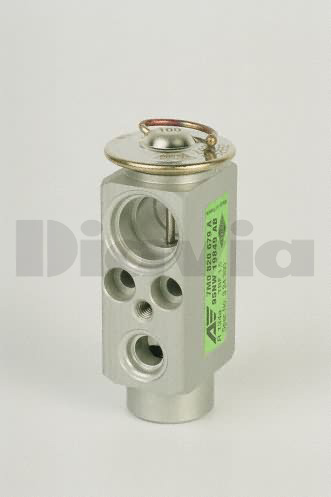 VALV. EXP. ORIG. BMW / OPEL