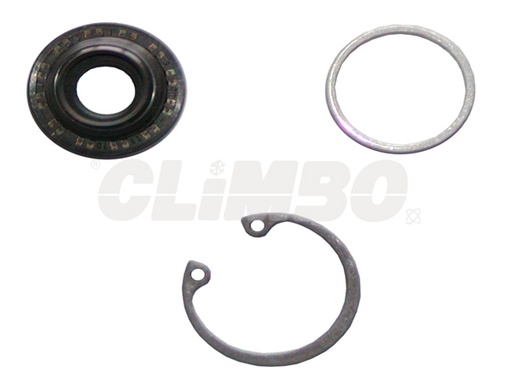 [95936] KIT DE PRENSA / RETEN TM08/13/15/16 DELPHI/ V5