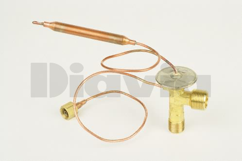 [96101] VALV. EXP. TIPO "L" M16XM22